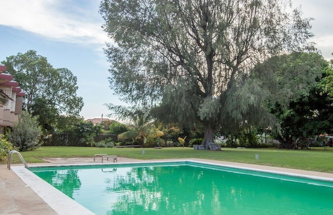 New Kingston Guest Apartments at Seymour - Foto 16