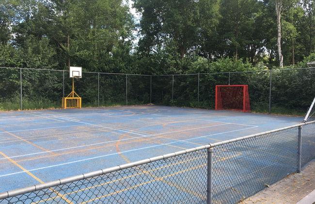 Holiday Chalets Mariënberg Hardenberg N6778 - Photo 13