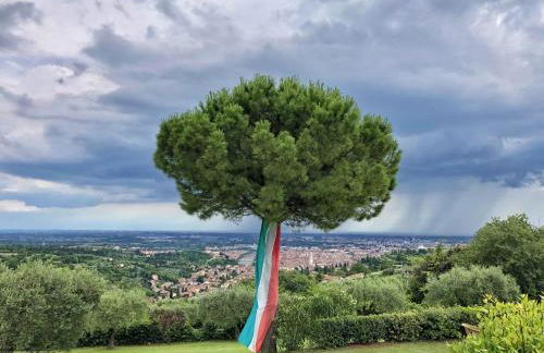 Corte San Mattia - Agriturismo in Verona - Foto 16