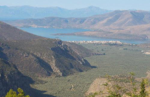 Delphic Horizons - Foto 54