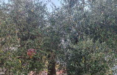 Casa di Enrico - Foto 4