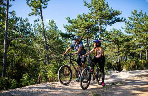 Apartments Olivia & Navy, Šilo - Photo 47