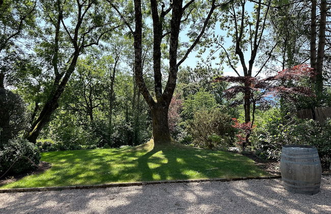 domaine du deven - Foto 42