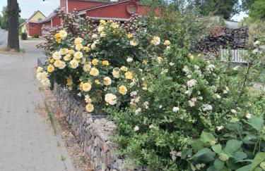 Uckermark "Ferienwohnung Sommerfugl " - Photo 4