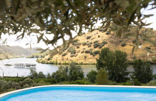 Olhares do Douro - Foto 10