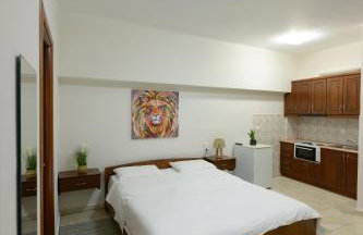 O FOTIS , Restaurant , Studios & Apartments - Photo 50