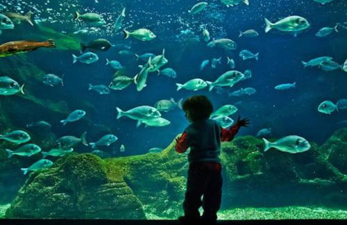 Creta guesthouse ARXONTIKO! - Foto 59