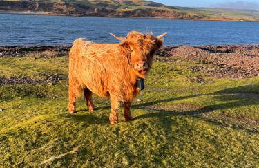 Panoramic Lookout, Davaar Island - Foto 30