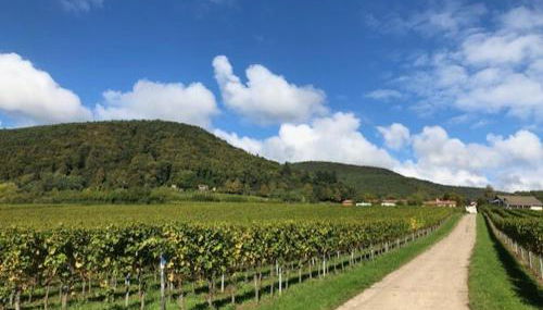 Ferienhaus Lindenallee 20 - Foto 2