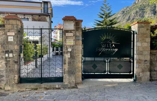 Villa Spring Apartments - Photo 10