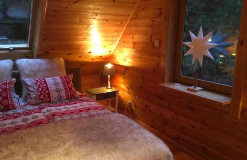 Deluxe Holiday Zdrojowa -Willa typu Alpejskiego w Borach Tucholskich-Całoroczna Balia z jacuzzi-Prywatny las i strumyk -Duża Wiata grillowa - Foto 35