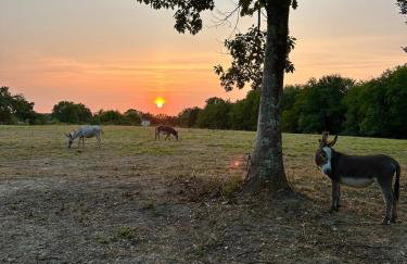 Domaine Epona - Foto 14