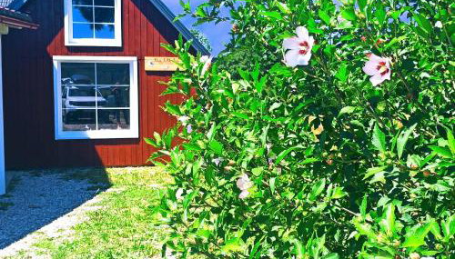 Three Little Birds Suite - Foto 4, Garden, Garden view