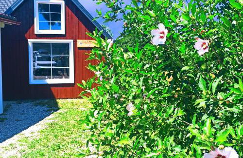 Three Little Birds Artists Residence - Foto 34