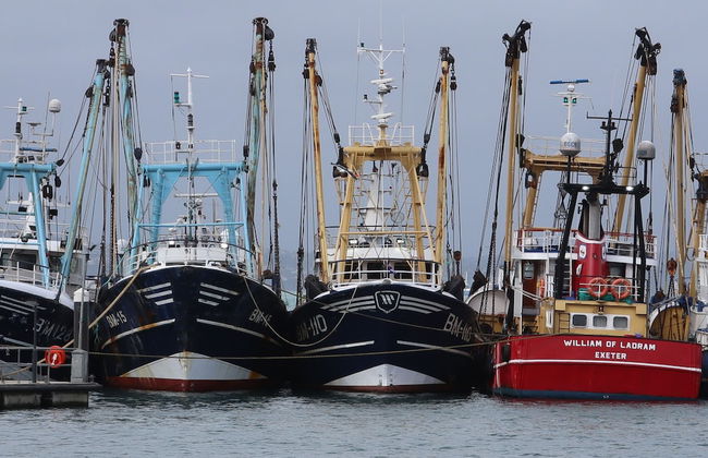 Devoncoast Seaview Apartments - Foto 25