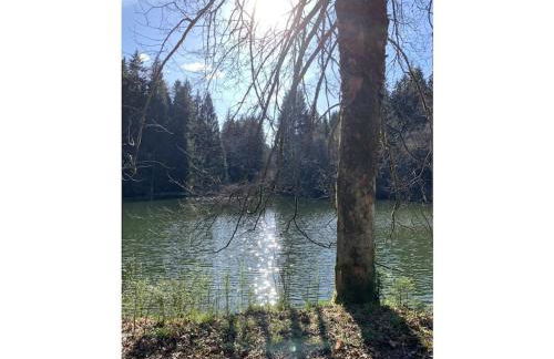 LebensArt in the old horse stable - Foto 28