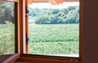Tenuta Della Casa Wine & Rooms - La Pausa del Collio - Photo 9