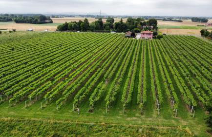 Agriturismo Fondo Gesù - Foto 16