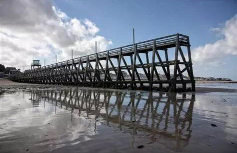 Logement cosy et moderne - Photo 32