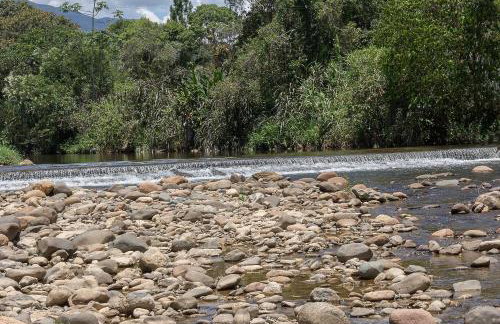 Chácara Caminho do Rio - Photo 6