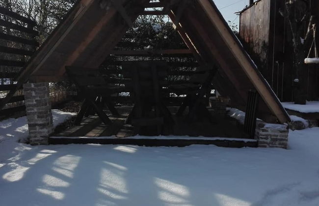 Lili's House - Photo 36