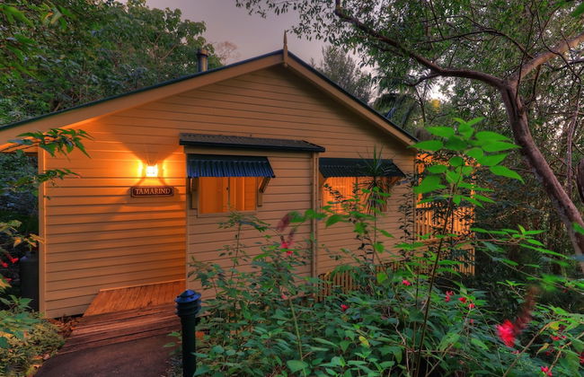 The Falls Montville - Photo 24