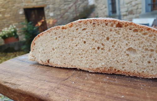 Agriturismo PEDROSOLA - Photo 64