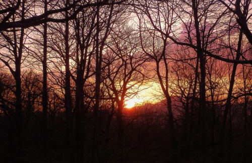 Casa Rural Aldekoa - Foto 36