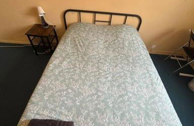 Charming 3-Bedroom Apartment in Saint-Pierre-des-Corps - Foto 9