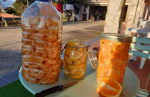 Quinta de São Marcos - Foto 24