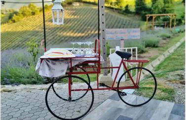 La lavanda di Poppi-mini appartamento - Foto 45