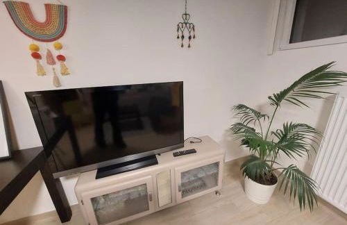 Close to PARIS, at HOUILLES, house within an exotic garden - Foto 6