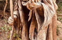 Villa Hainberg - Foto 65