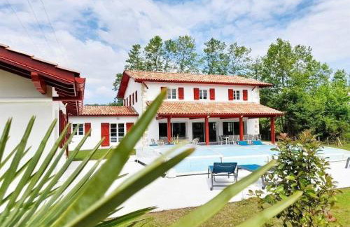 Zeruko izarra - Foto 1