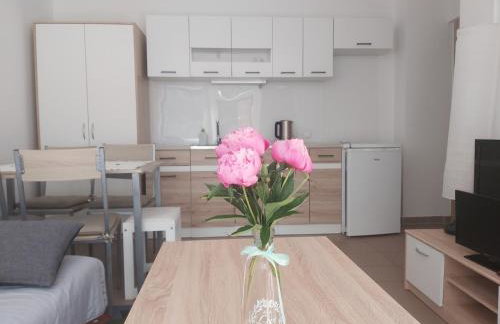 Leśne Zacisze Kretowiny 88 nad jeziorem Narie z własnymi pomostami apartamenty sezonowe lato - Foto 41