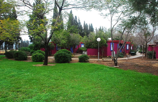 Mizra Guest House - Foto 24