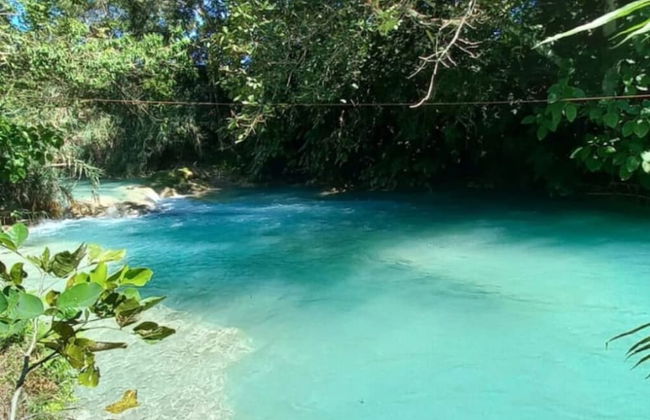 Room in Cabin - Cabanas Sierraverde Huasteca Potosina Highland Cabin - Foto 12