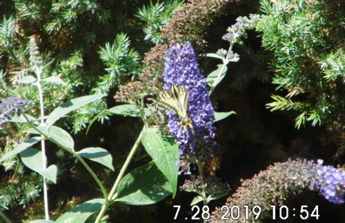 Ferienwohnung Seerose - Foto 32