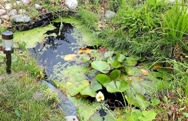 East Wing Apartment - Foto 33