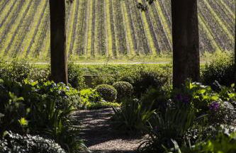 Casa Ruffino - Wine Relais - Foto 85