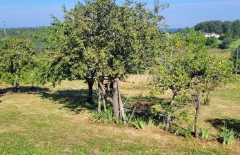 Corps de ferme Gîte Lo Pomier - Foto 7