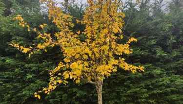 Apartamentos Goizeder - Foto 4