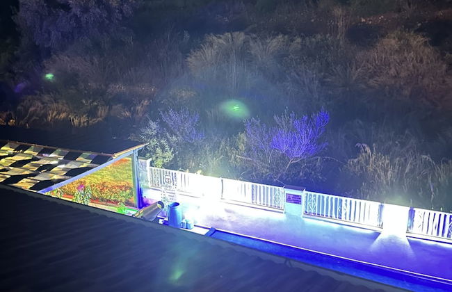 Street61 Studios - Photo 77