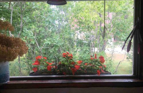 The Huron Hutch - Foto 70