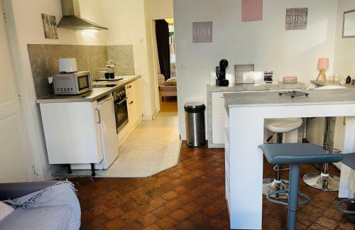 Départ tardif appartement T2 avec 1 chambre centre Orléans - Foto 6