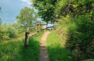 Villa Rosi - Foto 39