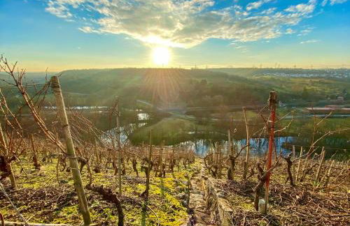 Altstadtnest - Foto 28