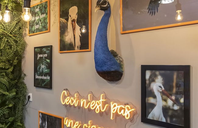 Odalys City Apartment Hotel - Strasbourg Centre Les Halles - Foto 9