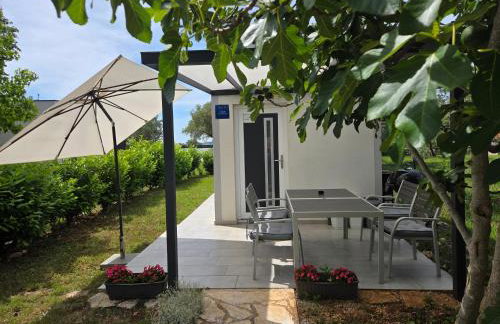 Studio Apartment Ceca*** - Foto 3