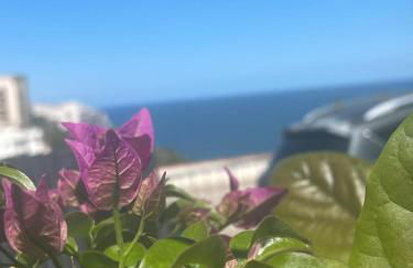 Sunderville Superior - Foto 62